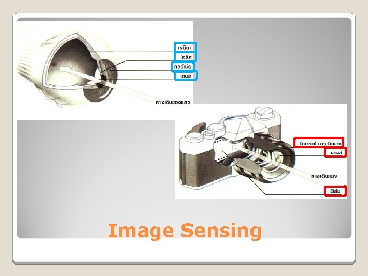 Image Sensing 