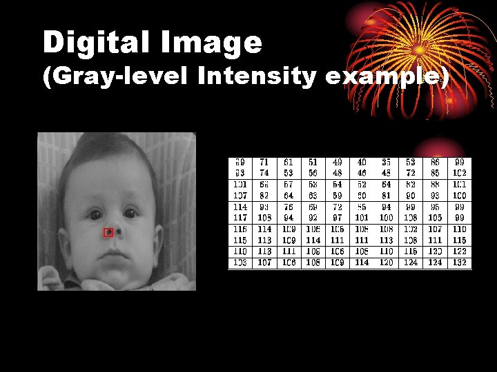 Digital Image (Gray-level Intensity example) 