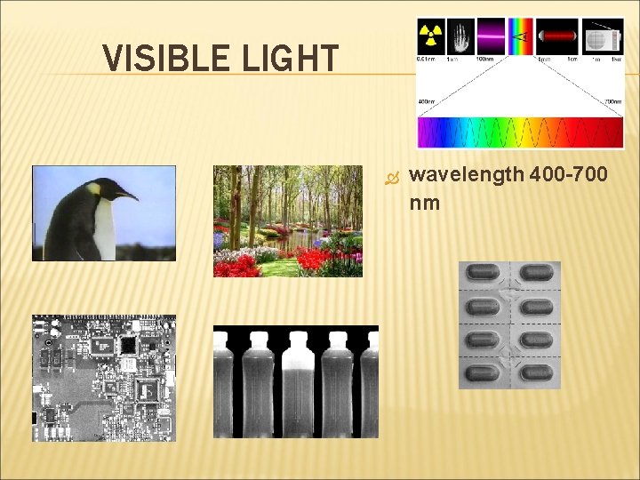 VISIBLE LIGHT wavelength 400 -700 nm 