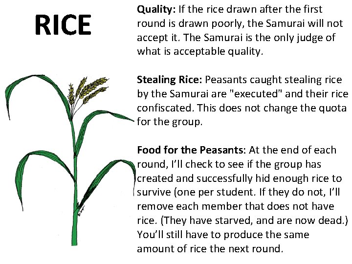 RICE Quality: If the rice drawn after the first round is drawn poorly, the