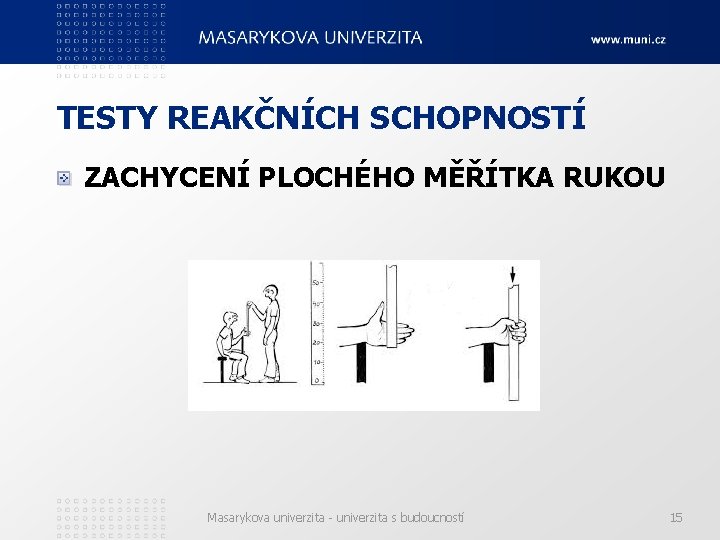 TESTY REAKČNÍCH SCHOPNOSTÍ ZACHYCENÍ PLOCHÉHO MĚŘÍTKA RUKOU Masarykova univerzita - univerzita s budoucností 15