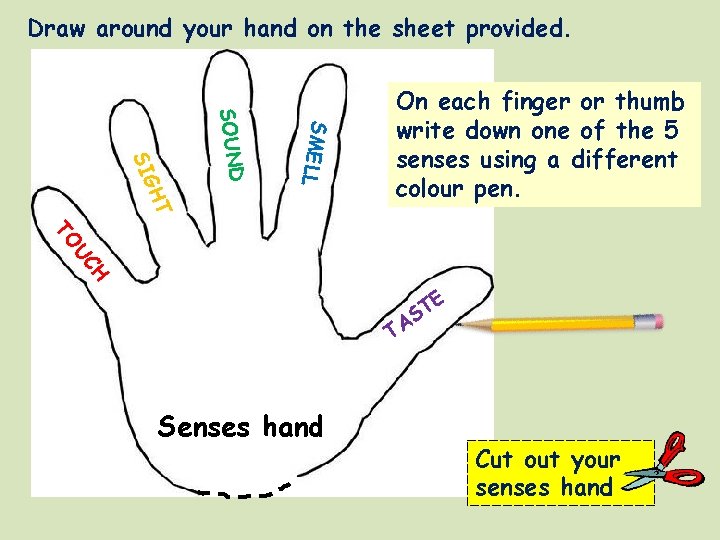 Draw around your hand on the sheet provided. SMELL SOUND HT SIG On each