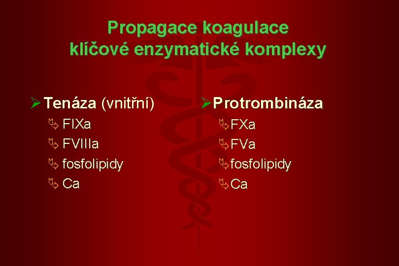 Propagace koagulace klíčové enzymatické komplexy Ø Tenáza (vnitřní) Ä FIXa Ä FVIIIa Ä fosfolipidy