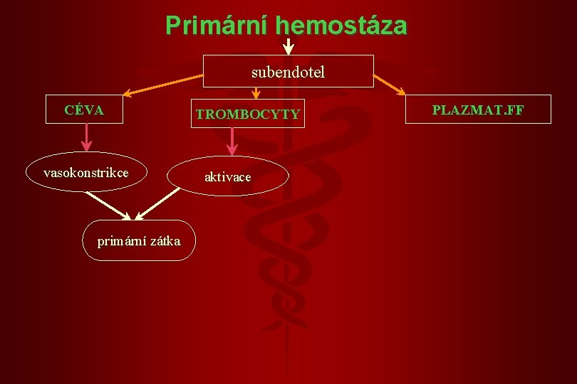 Primární hemostáza subendotel CÉVA vasokonstrikce primární zátka TROMBOCYTY aktivace PLAZMAT. FF 