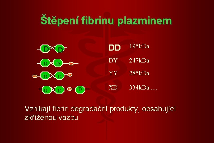 Štěpení fibrinu plazminem E D D D E E D DD 195 k. Da
