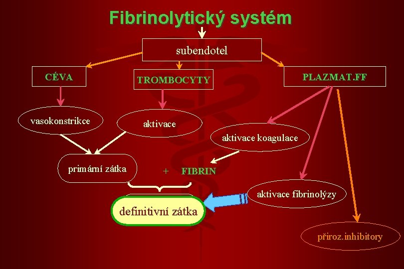 Fibrinolytický systém subendotel CÉVA PLAZMAT. FF TROMBOCYTY vasokonstrikce aktivace koagulace primární zátka + FIBRIN