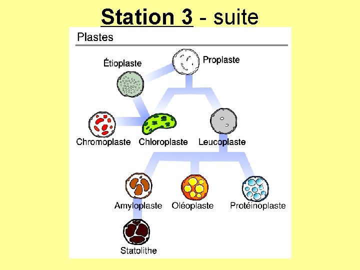 Station 3 - suite Station 3 - suite