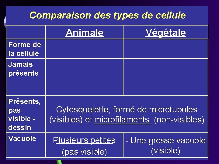 Comparaison des types de cellule Forme de la cellule Jamais présents Animale Végétale Ronde Comparaison des types de cellule Forme de la cellule Jamais présents Animale Végétale Ronde