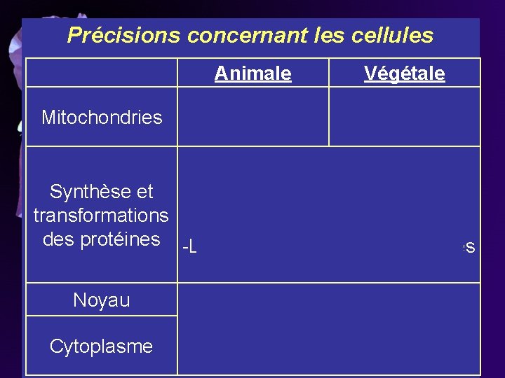 Précisions concernant les cellules Mitochondries Animale Végétale En grand nombre En petit nombre -RE Précisions concernant les cellules Mitochondries Animale Végétale En grand nombre En petit nombre -RE