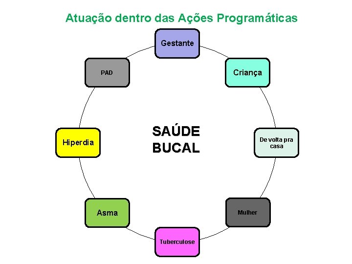 Atuação dentro das Ações Programáticas Gestante Criança PAD SAÚDE BUCAL Hiperdia Asma De volta