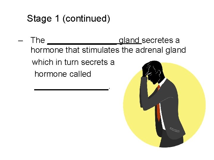 Stage 1 (continued) – The ________ gland secretes a hormone that stimulates the adrenal