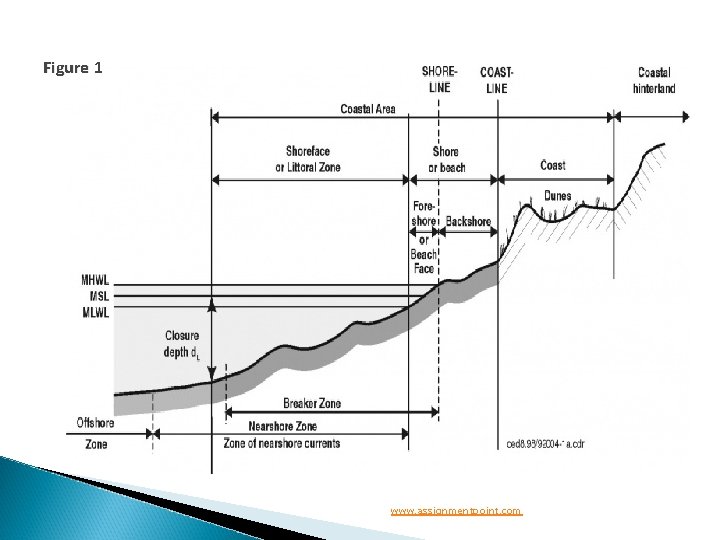 Figure 1 www. assignmentpoint. com 