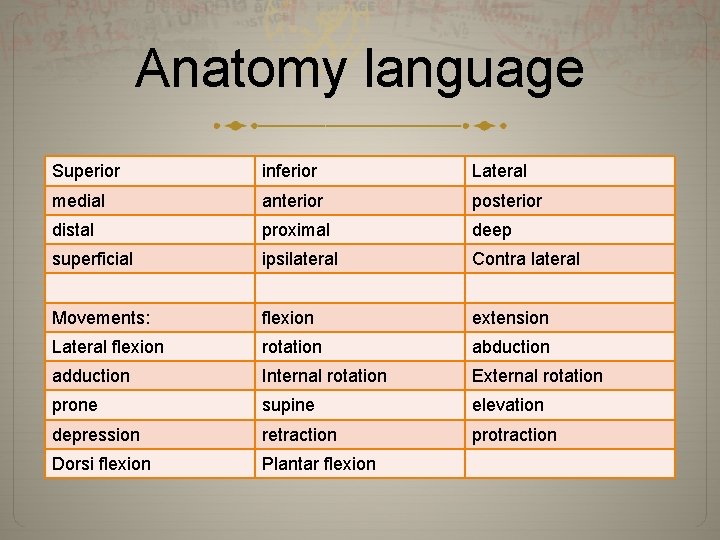 Anatomy language Superior inferior Lateral medial anterior posterior distal proximal deep superficial ipsilateral Contra