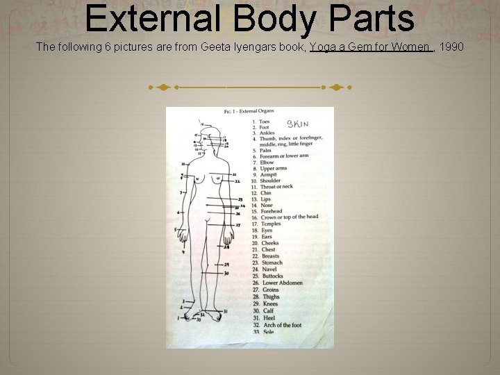 External Body Parts The following 6 pictures are from Geeta Iyengars book, Yoga a