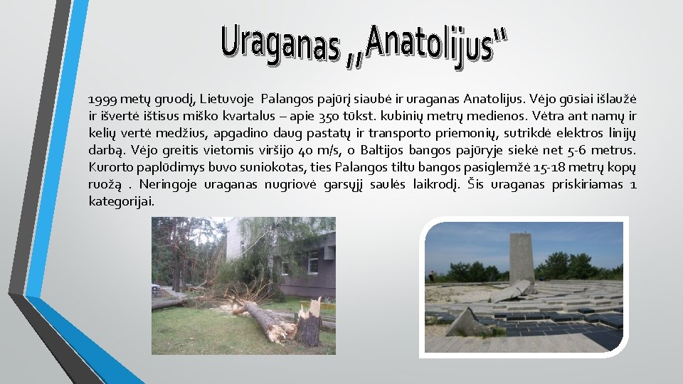 1999 metų gruodį, Lietuvoje Palangos pajūrį siaubė ir uraganas Anatolijus. Vėjo gūsiai išlaužė ir