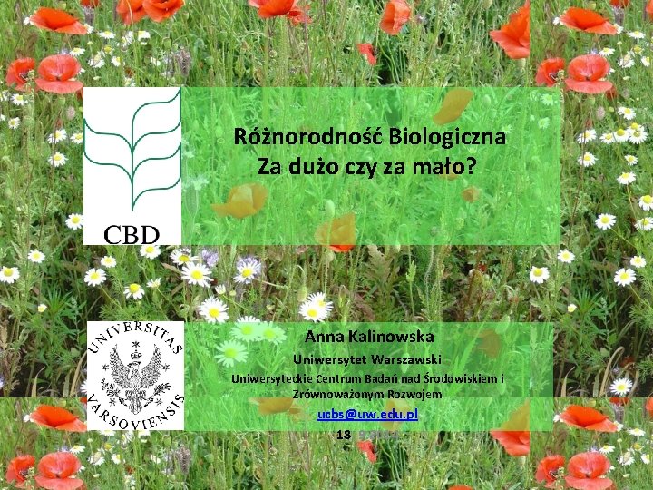 Różnorodność Biologiczna Za dużo czy za mało? Anna Kalinowska Uniwersytet Warszawski Uniwersyteckie Centrum Badań