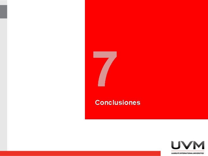 7 Conclusiones 