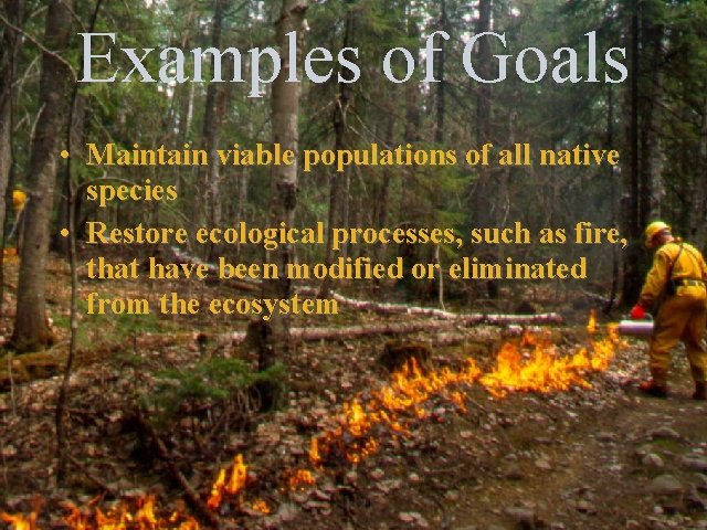 Examples of Goals • Maintain viable populations of all native species • Restore ecological