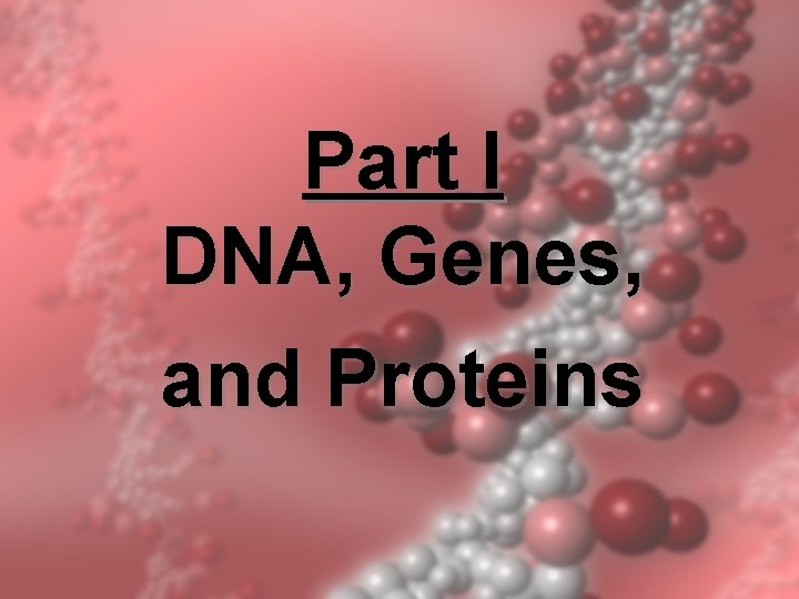Part I DNA, Genes, and Proteins Part I DNA, Genes, and Proteins