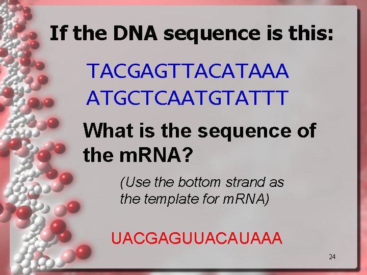 If the DNA sequence is this: TACGAGTTACATAAA ATGCTCAATGTATTT What is the sequence of the If the DNA sequence is this: TACGAGTTACATAAA ATGCTCAATGTATTT What is the sequence of the