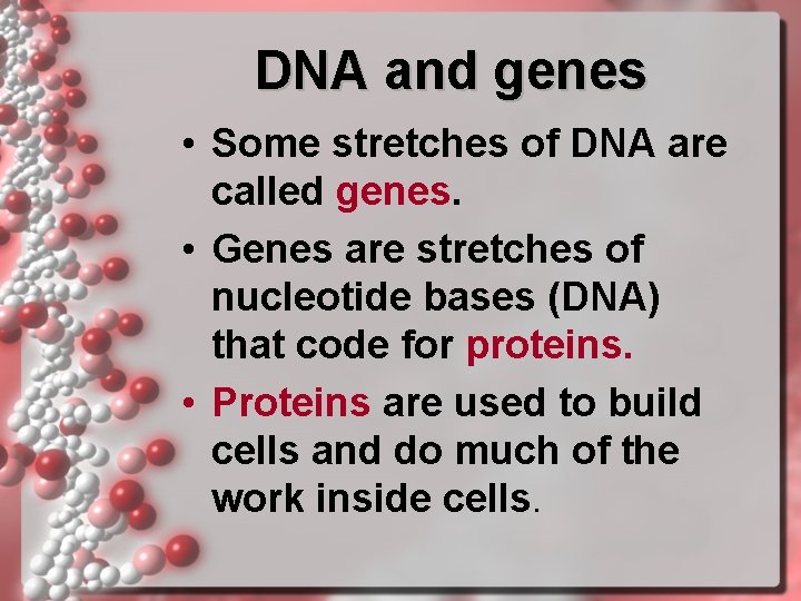 DNA and genes • Some stretches of DNA are called genes. • Genes are DNA and genes • Some stretches of DNA are called genes. • Genes are