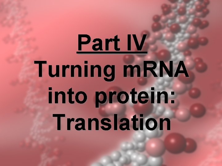 Part IV Turning m. RNA into protein: Translation Part IV Turning m. RNA into protein: Translation