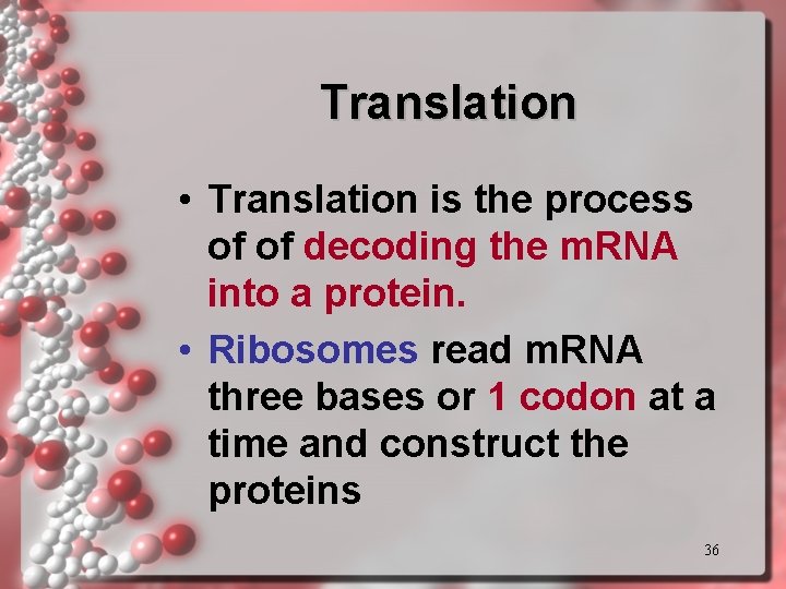 Translation • Translation is the process of of decoding the m. RNA into a Translation • Translation is the process of of decoding the m. RNA into a