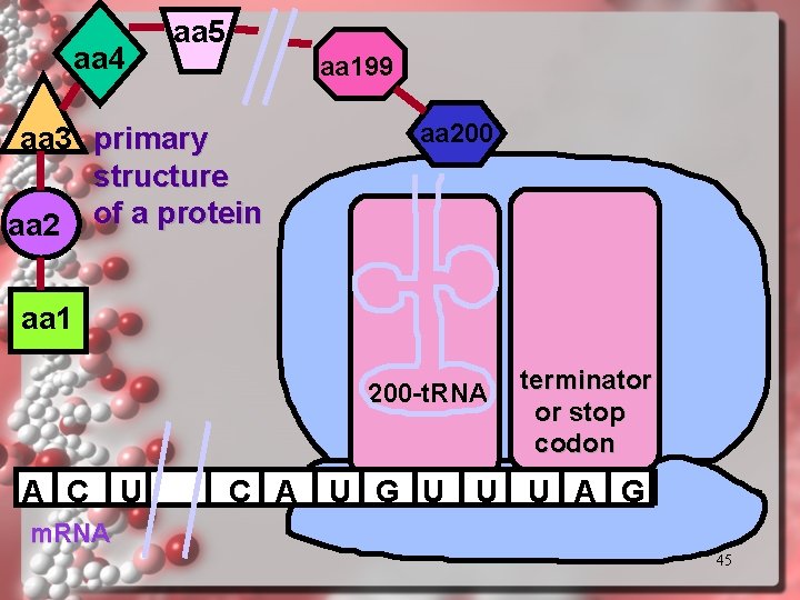 aa 4 aa 5 aa 199 aa 3 primary structure aa 2 of a aa 4 aa 5 aa 199 aa 3 primary structure aa 2 of a