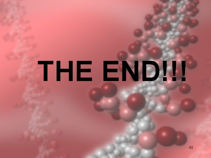 THE END!!! 48 THE END!!! 48