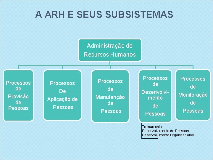 A ARH E SEUS SUBSISTEMAS Administração de Recursos Humanos Processos de Provisão de Pessoas