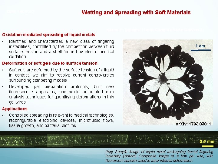 DMR 1608097 Wetting and Spreading with Soft Materials Karen E. Daniels, North Carolina State
