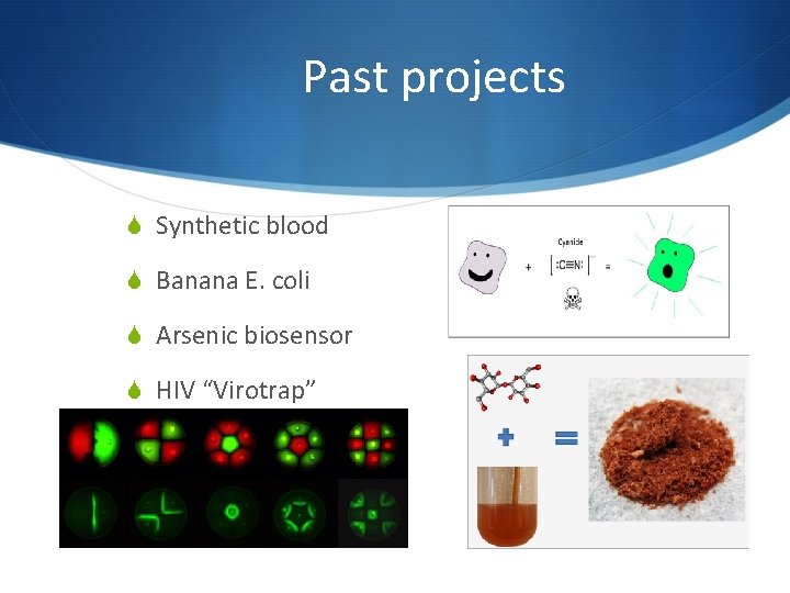 Past projects S Synthetic blood S Banana E. coli S Arsenic biosensor S HIV