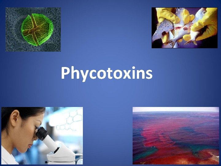 Phycotoxins 