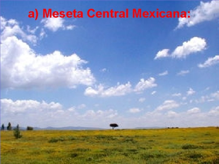 a) Meseta Central Mexicana: 