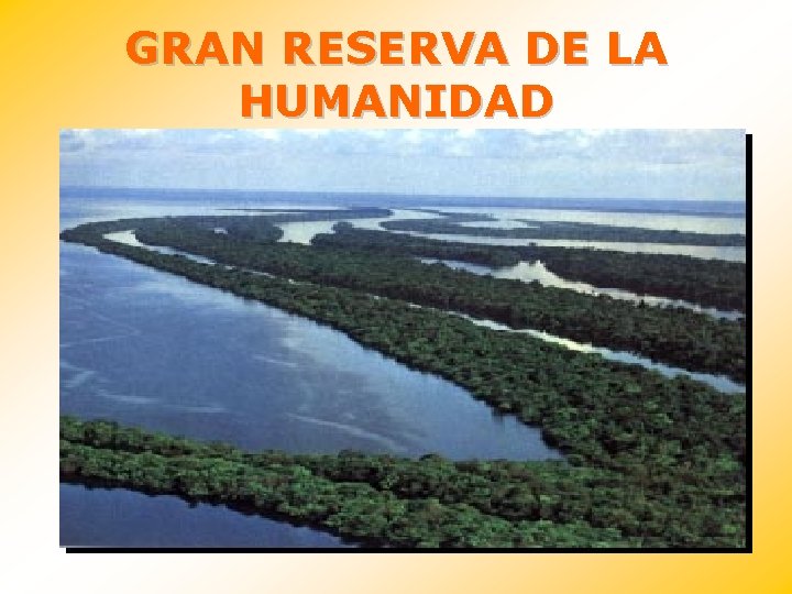 GRAN RESERVA DE LA HUMANIDAD 