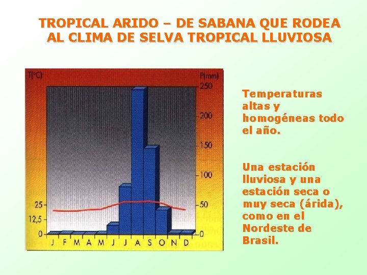 TROPICAL ARIDO – DE SABANA QUE RODEA AL CLIMA DE SELVA TROPICAL LLUVIOSA Temperaturas