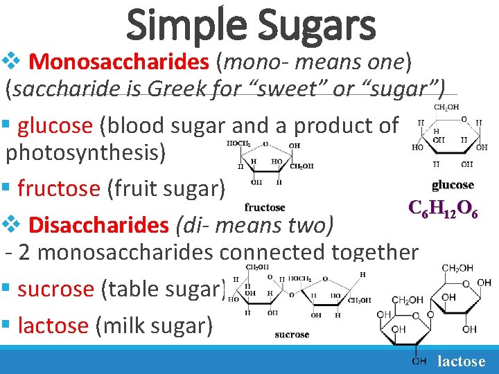 Carbohydrates Carbs Objective B 2 Compare the structures