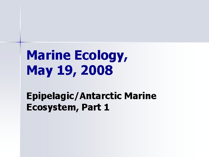 Marine Ecology, May 19, 2008 Epipelagic/Antarctic Marine Ecosystem, Part 1 