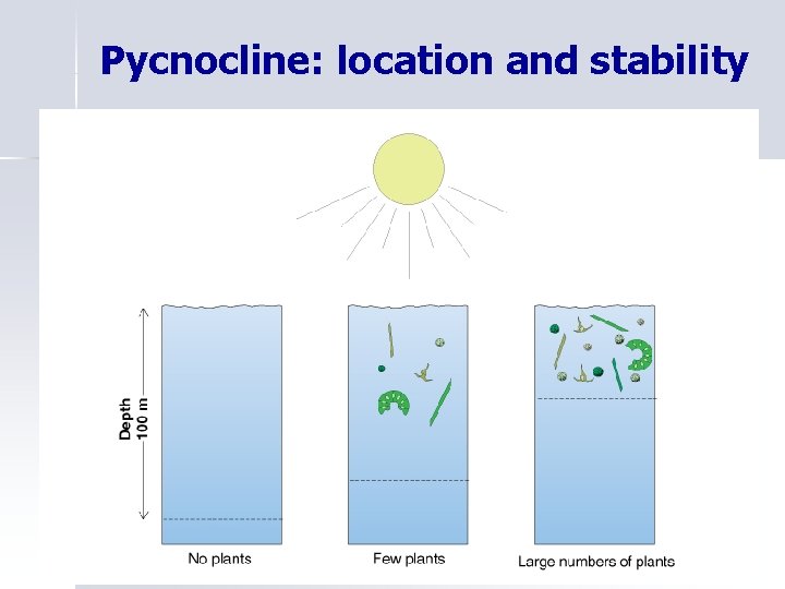 Pycnocline: location and stability 