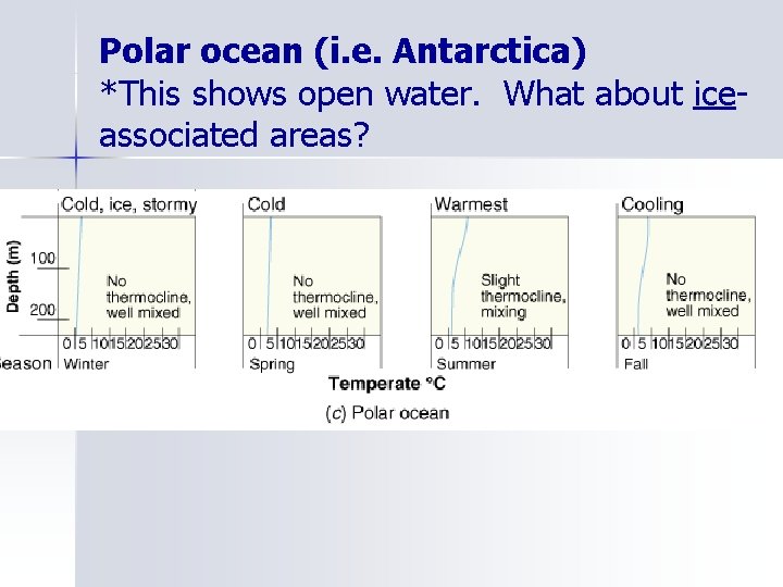 Polar ocean (i. e. Antarctica) *This shows open water. What about iceassociated areas? 
