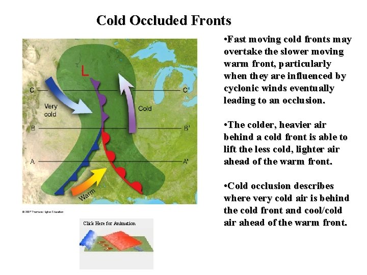 Cold Occluded Fronts • Fast moving cold fronts may overtake the slower moving warm