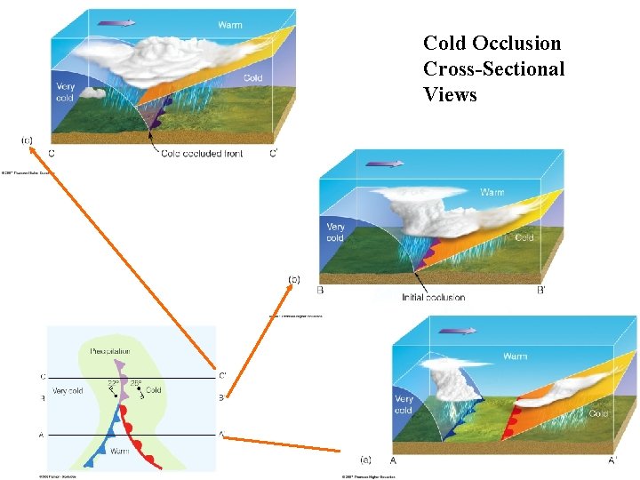 Cold Occlusion Cross-Sectional Views 