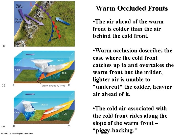 Warm Occluded Fronts • The air ahead of the warm front is colder than