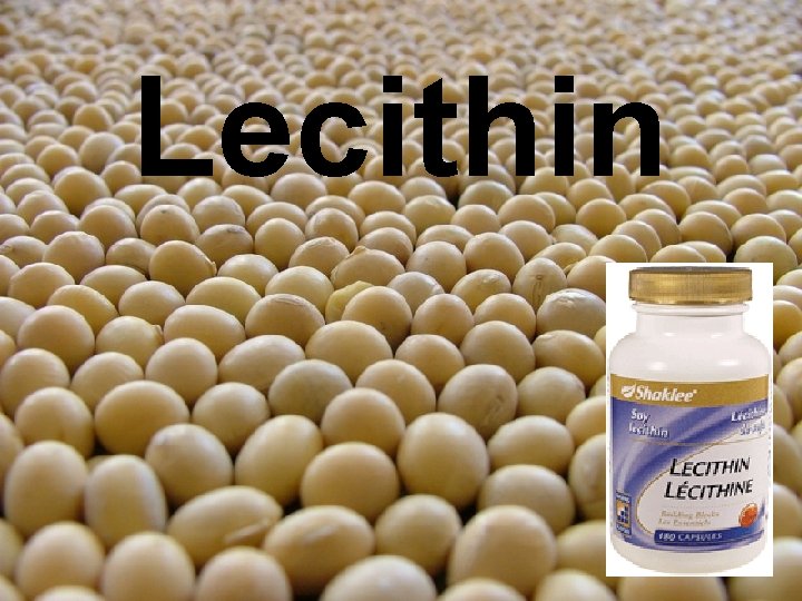 Lecithin 