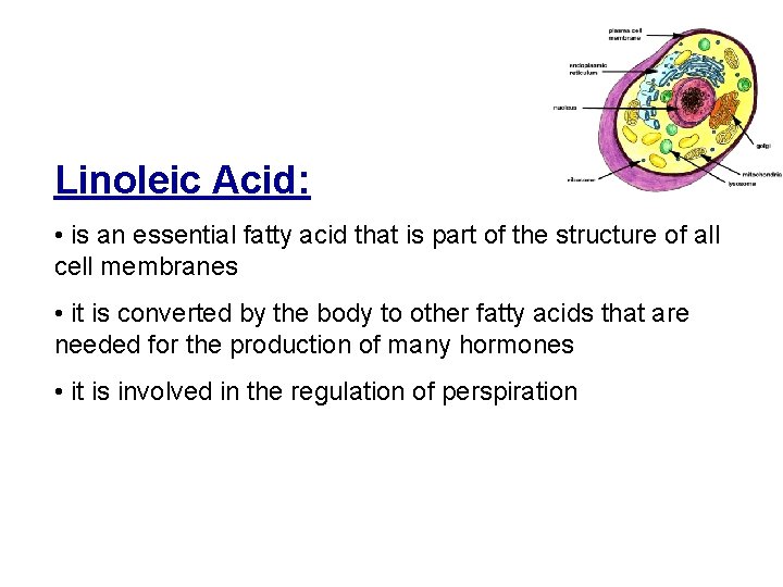 Linoleic Acid: • is an essential fatty acid that is part of the structure