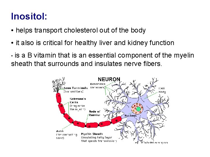 Inositol: • helps transport cholesterol out of the body • it also is critical