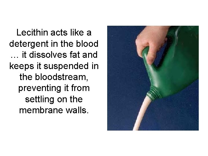 Lecithin acts like a detergent in the blood … it dissolves fat and keeps