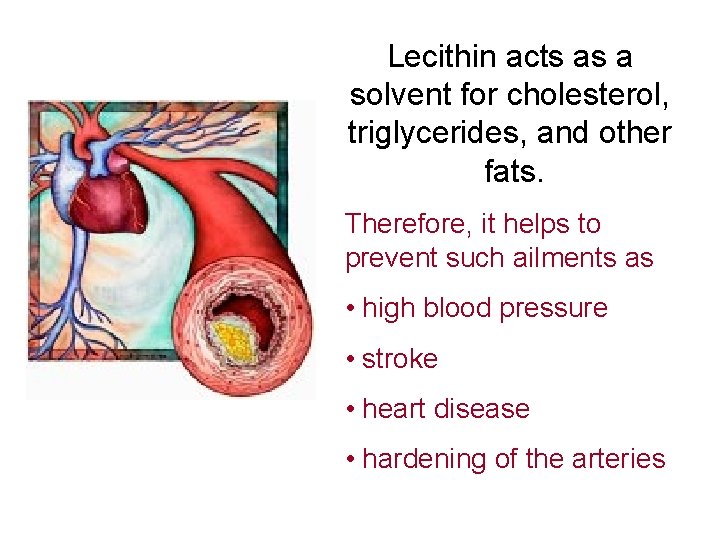 Lecithin acts as a solvent for cholesterol, triglycerides, and other fats. Therefore, it helps
