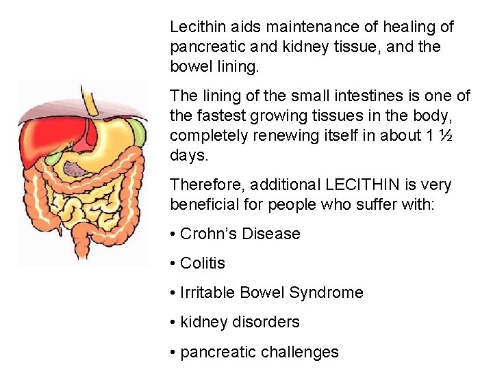 Lecithin aids maintenance of healing of pancreatic and kidney tissue, and the bowel lining.