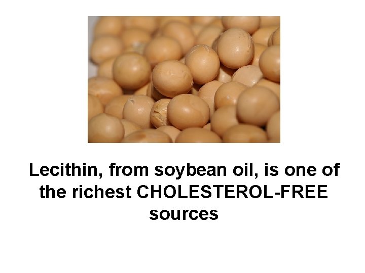 Lecithin, from soybean oil, is one of the richest CHOLESTEROL-FREE sources 